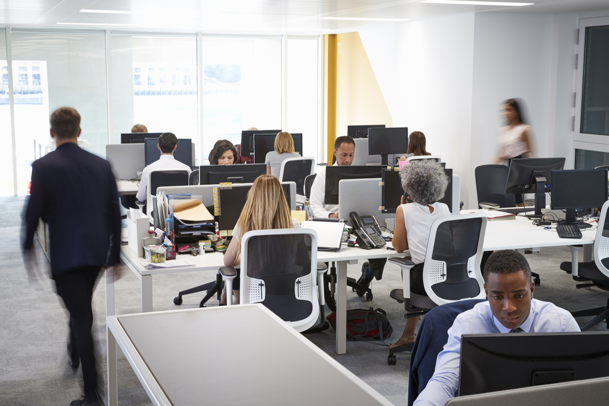 Employment Law Tips