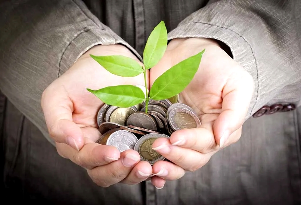 Smart Financial Strategies
