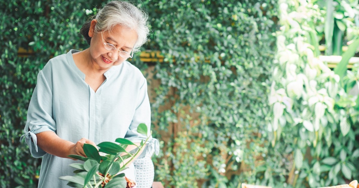 Estate Planning Lawyers in North Carolina