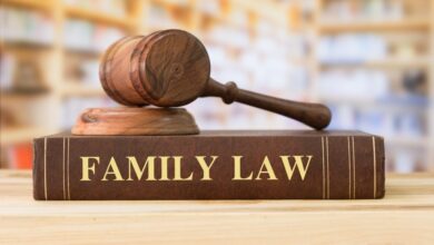 Family Lawyer