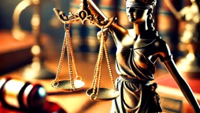 The role of lawyers in social justice movements in 2024