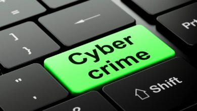 Cybercrime and Internet Law