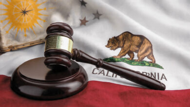 Immigration Law in California